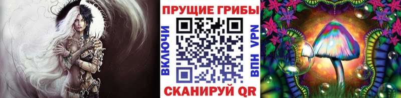 Галлюциногенные грибы Psilocybine cubensis  Магас 